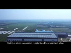 De het Bladspiegel van AISI SS beëindigt 0.12mm - 2.0mm Staalplaat Op hoge temperatuur